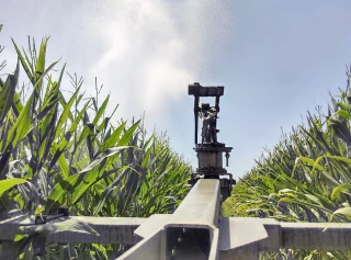 Bien piloter l’irrigation du maïs