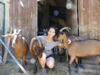 Amandine Courbis, chevrière fromagère passionnée