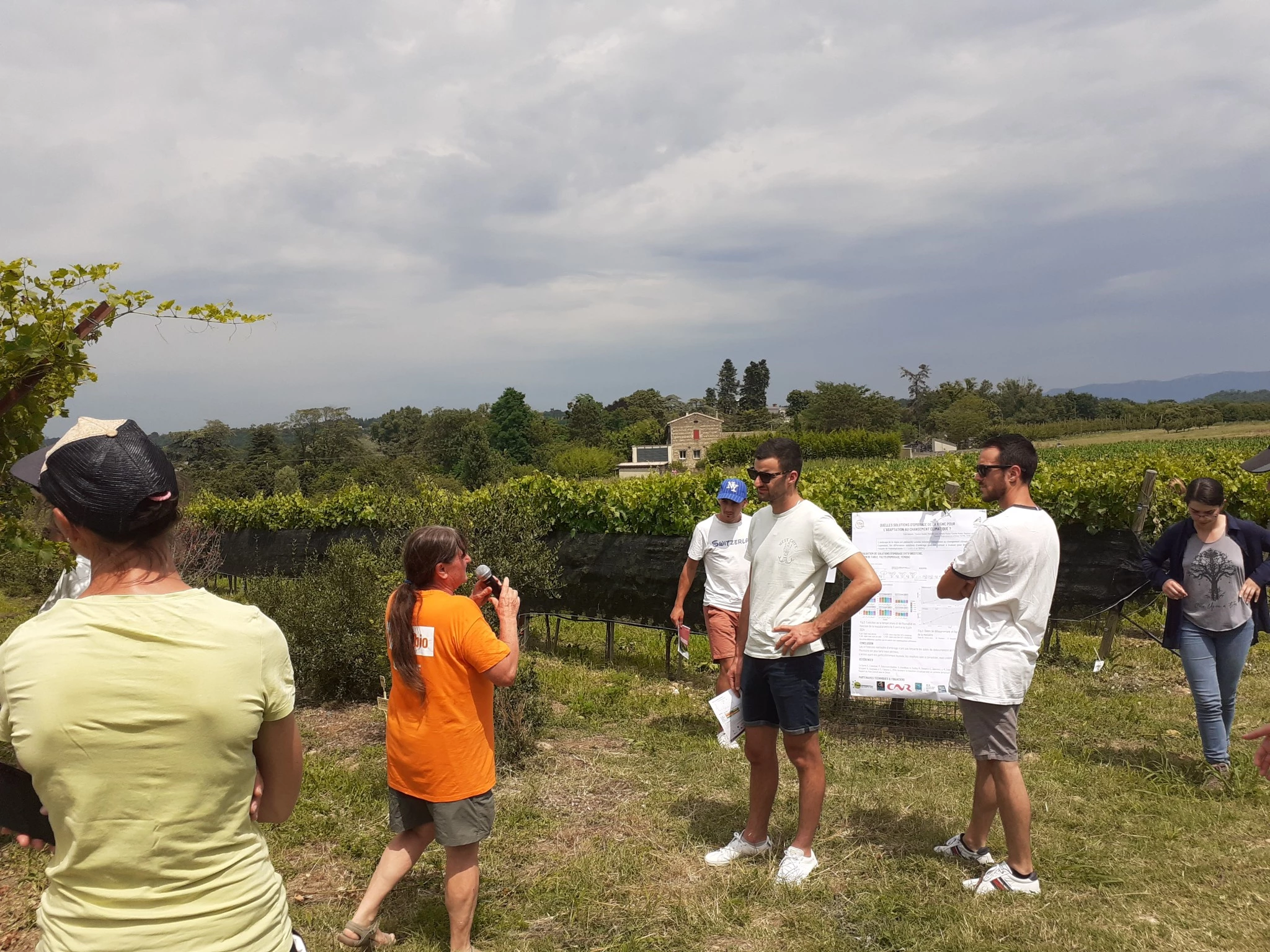 Vigne Climat'ic : évaluer le vignoble de demain