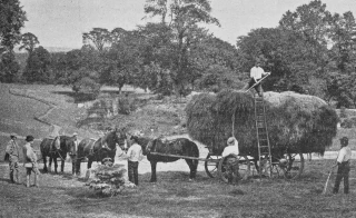 L’agriculture française pendant les JO de 1924 (1/5)