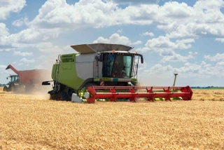 Blé tendre : la plus mauvaise moisson depuis 1983