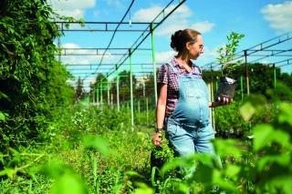 Grossesse et travail : innover pour  mieux accompagner les femmes