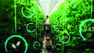 « L’intelligence artificielle est compatible avec l’agriculture familiale »