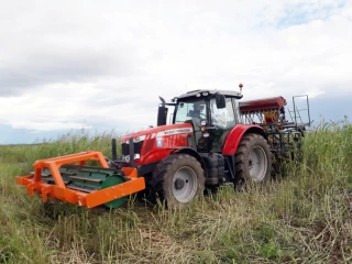 Raisonner l’implantation des couverts végétaux