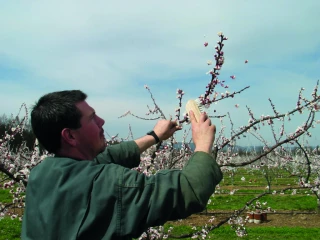 Agriculteurs et salariés agricoles : nouvelle offre  de formations pour les CFPPA