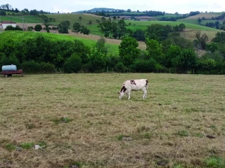 Agriculture biologique : dernières évolutions réglementaires