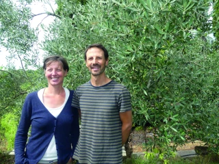 Ferme Haas Maury : un lieu où les olives sont choyées