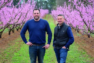 Terroirs de Familles : faire sa place sur le marché du kiwi bio