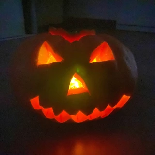«Jack à la lanterne » à la ferme