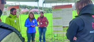 Pois’Innov 2024 : des idées prometteuses pour la résilience des élevages bovins lait