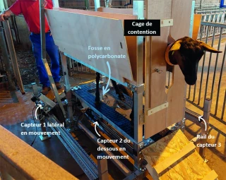 CapriMam3D, l’innovation au service de la traite