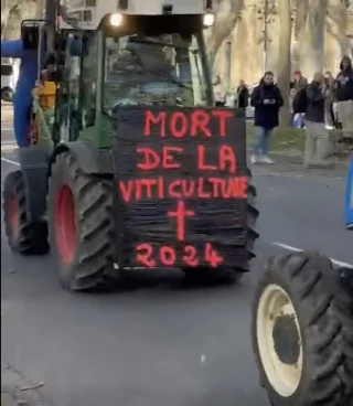 Mobilisation viticole à Carcassonne face à une situation «intenable» 