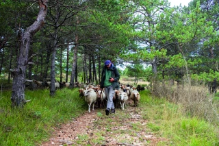 Une réussite dans les Baronnies provençales