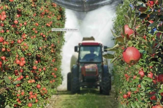 Insecticide Pledge : une décision de l’Anses annulée en référé