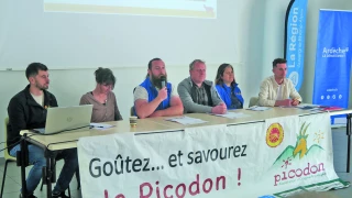 Le Picodon AOP cherche un nouvel élan