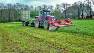 L’affouragement en vert, entre autonomie et productivité