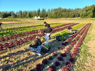 Le réseau de la solidarité alimentaire s’étoffe avec l’agriculture