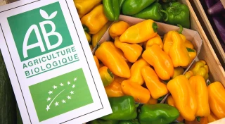 « La bio a un avenir dans la Drôme »
