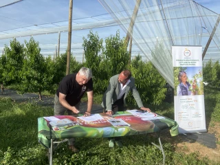 Un contrat de progrès entre l'AOP pêches et abricots de France et Mousquetaires
