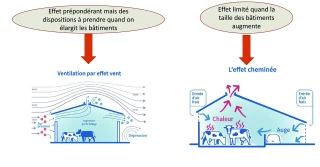 La ventilation naturelle, pilier du bien-être animal en bâtiment
