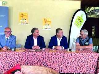 Le saint-marcellin et la noix font la fête 