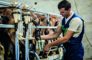 Une production de lait de chèvre  peu dynamique en Europe