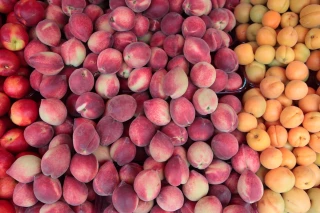En abricots et pêches, des marchés qui se tiennent