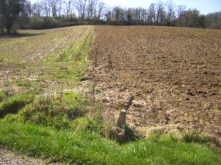 Dégrèvement des taxes foncières pour les jeunes agriculteurs :  à demander avant  le 31 janvier