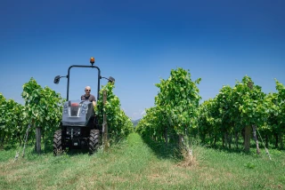 Les tracteurs interlignes  très étroits marquent leur retour