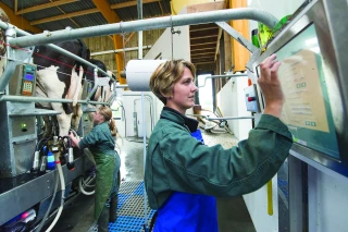 Une bouteille de lait très nationale, sauf pour le matériel de traite