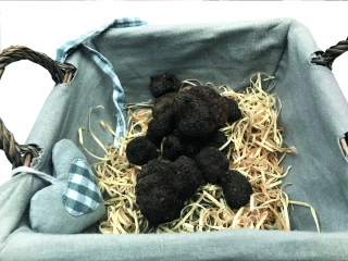 Truffes : une saison en demi-teinte