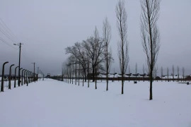 camp