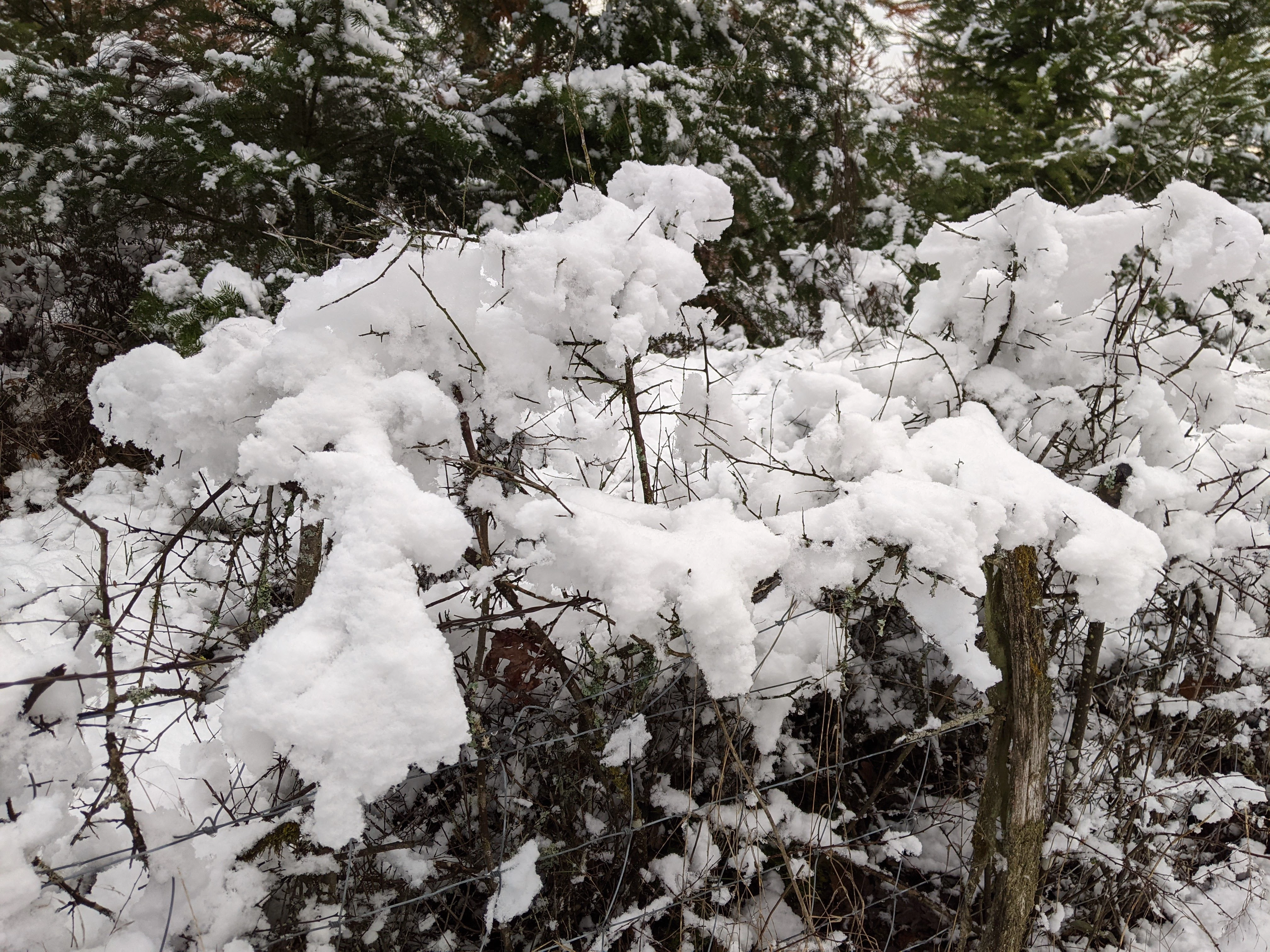 Très hivernal en Aura