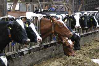 Inquiétude sur la hausse continue des matières premières